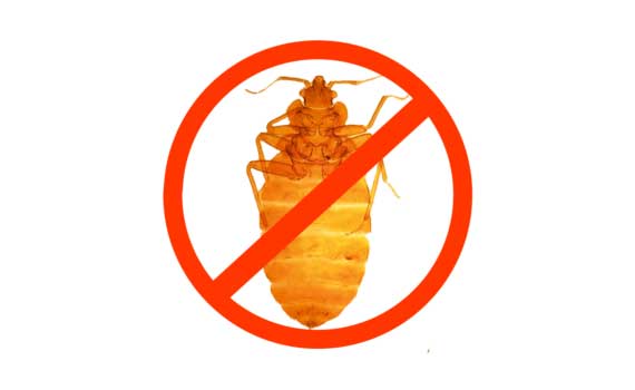 Ágyi poloska eliminálás